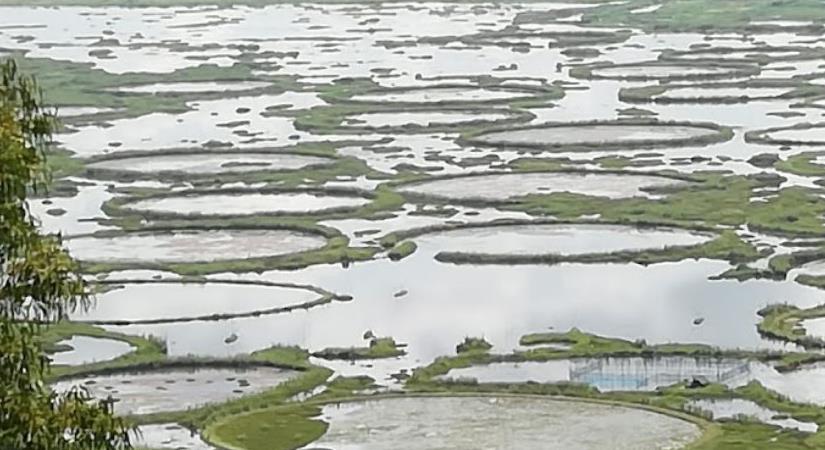 Keibul Lamjao National Park Discover India